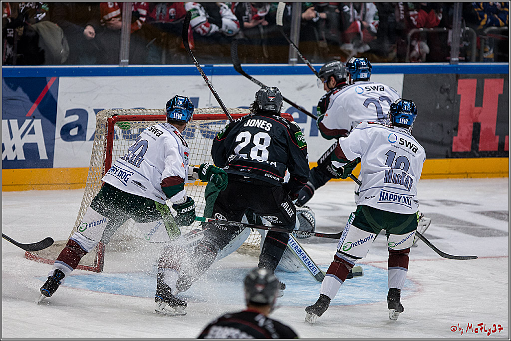 DEL, Koelner Haie - Augsburger Panther, 13.01.2017